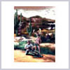 13_Roy