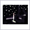 01_EndangeredSpecies