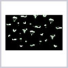 01_EndangeredSpecies